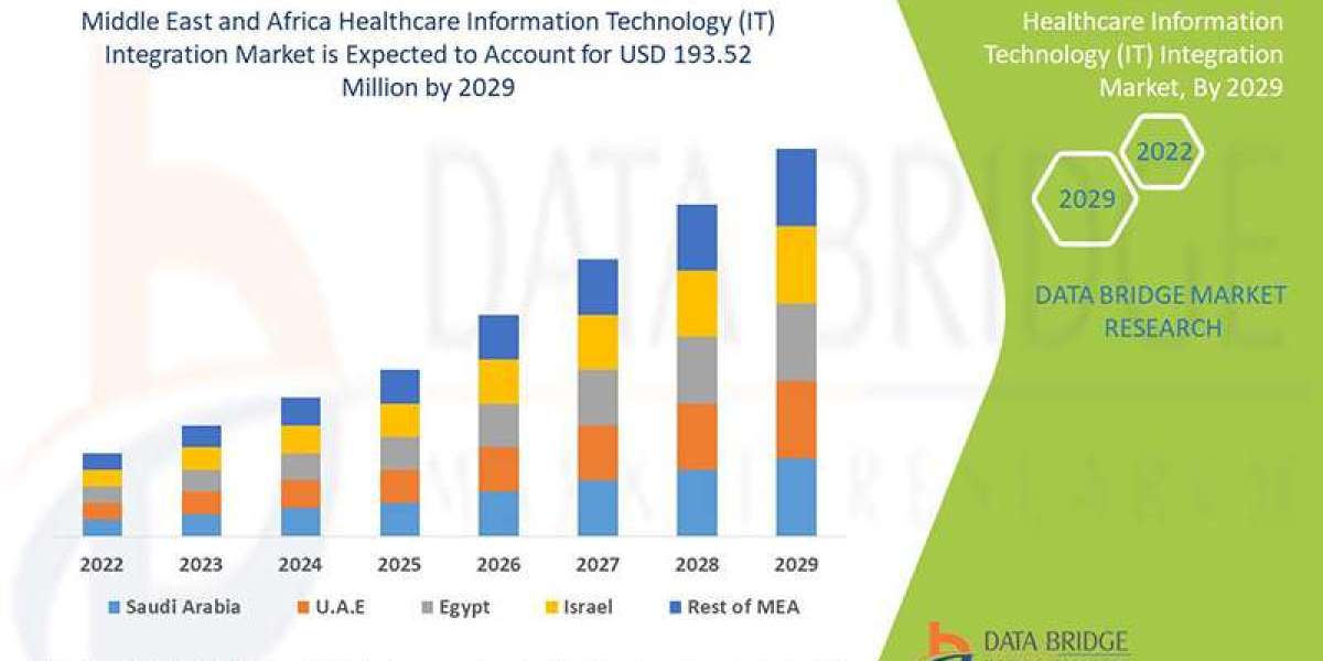 Middle East and Africa Healthcare Information Technology (IT) Integration Market: Insights, Key Players, and Growth Anal