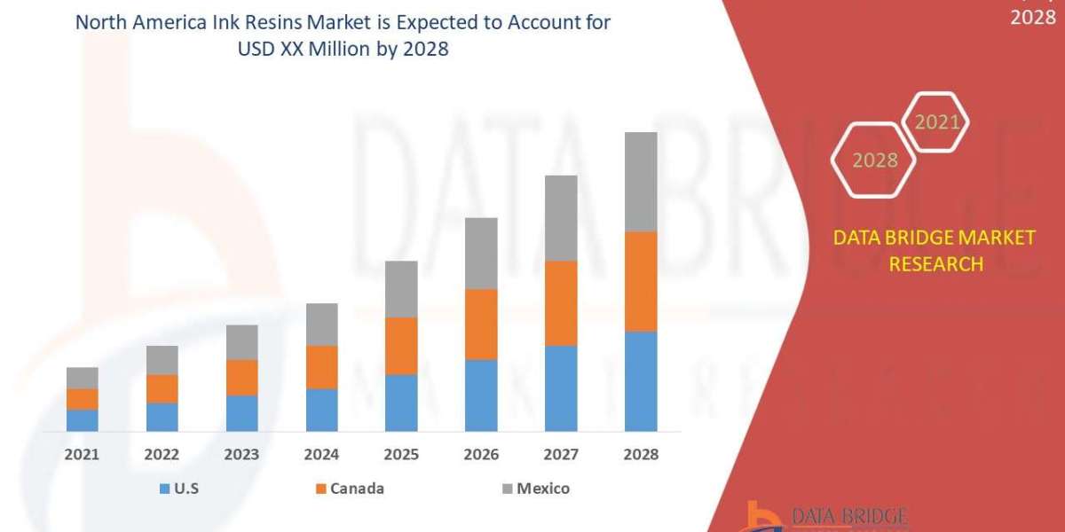 North America Ink Resins Market: Insights and Competitive Analysis