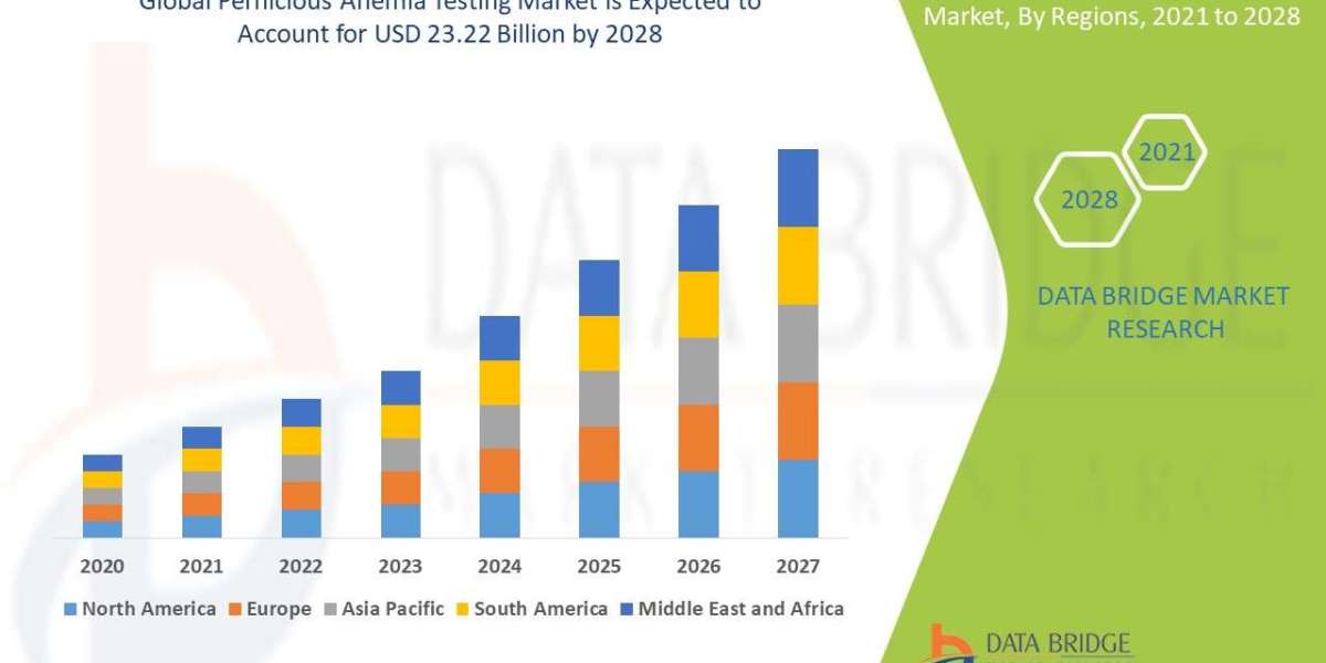 Pernicious Anemia Testing Market Rises with Growing Awareness of Vitamin B12 Deficiencies