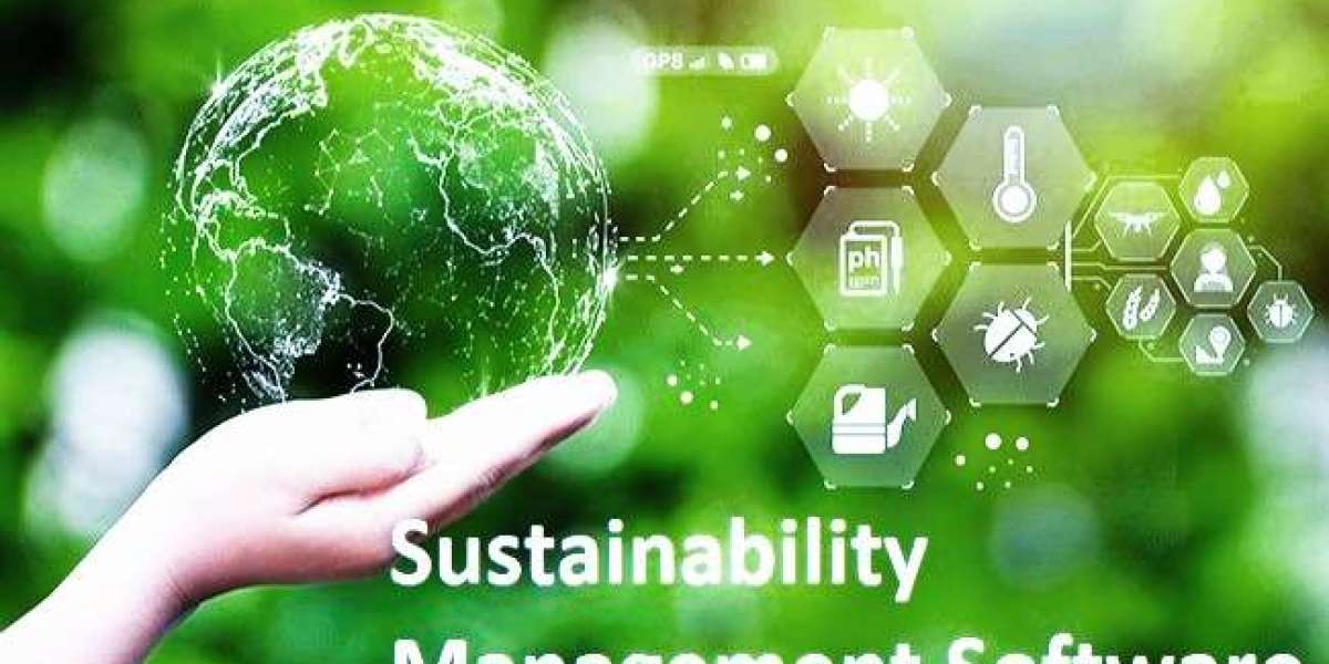 The Key Catalysts Fueling Global Sustainability Management Software Market Growth