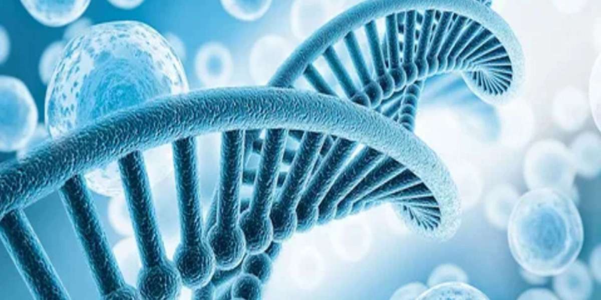 Gramicidin Market Regional Analysis, Demand Analysis and Competitive Outlook 2025-2032