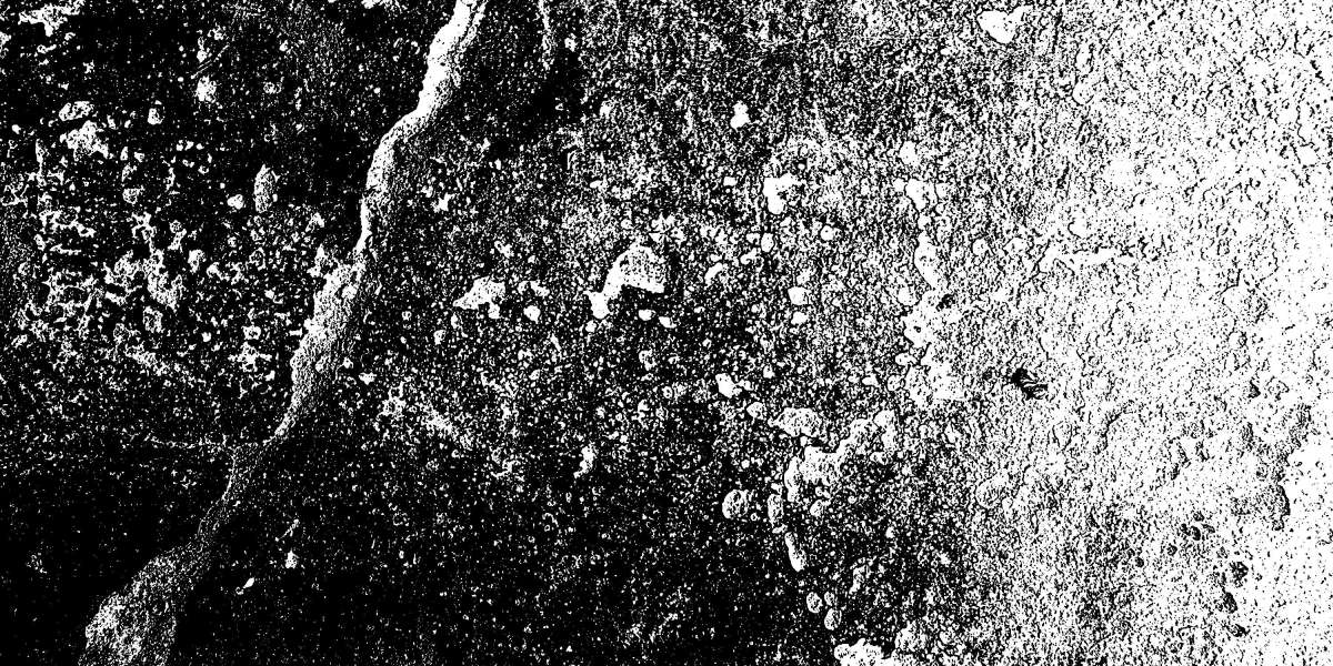 Exploring On-line Loans: No Credit Check Choices For Bad Credit Borrowers