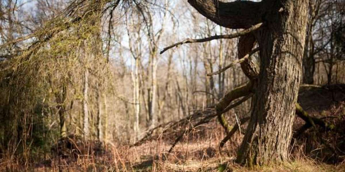 Top 10 Largest Casinos in Australia 2025