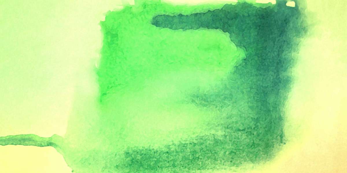 Comprehensive Study Report On NetJets USA