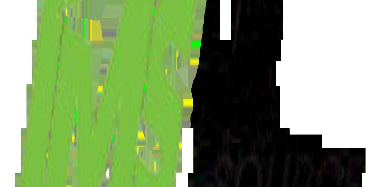 QA QC Course: Build a Reliable and Rewarding Career with IMS COCHIN