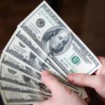 mshehroz01 Profile Picture