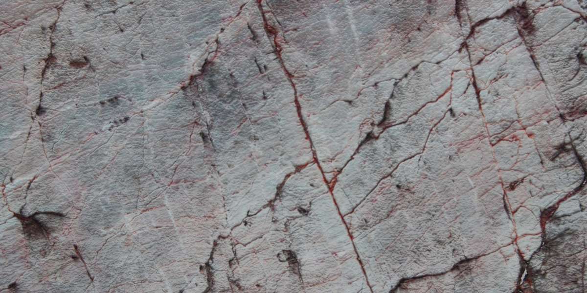 Revolutionizing Access to Credit: The Rise of Online Lines of Credit With No Credit Check