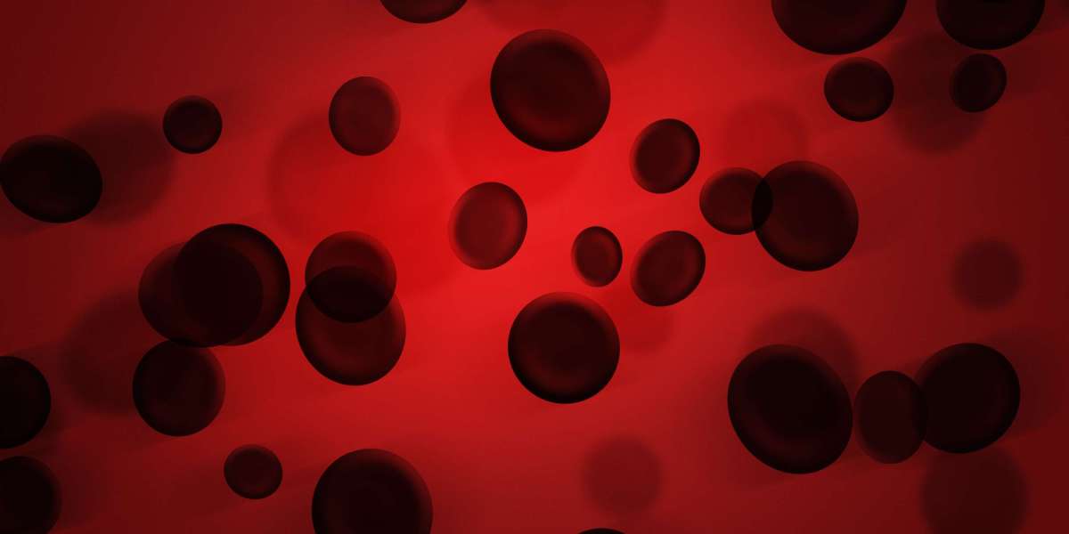 The Best Place to Buy Modafinil Online: A Comprehensive Case Study