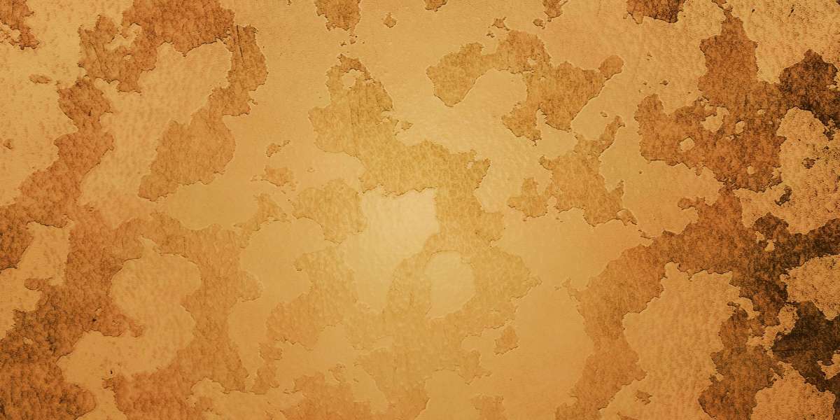 Exploring the Benefits of Private Jet Charter Membership: A Case Study