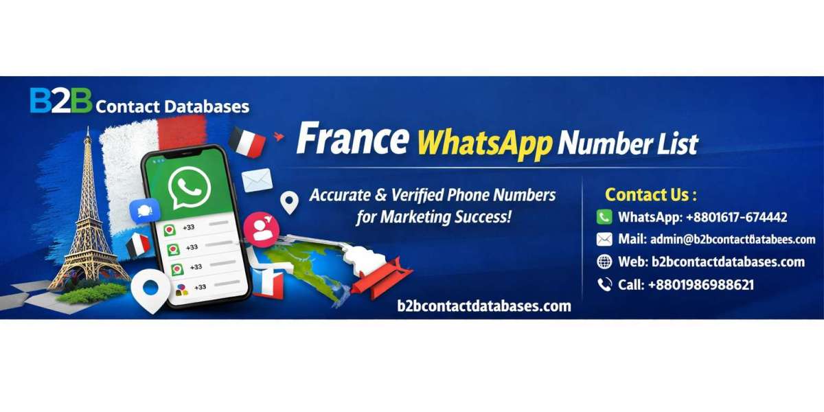  How to measure the success of a France WhatsApp Number List campaign?