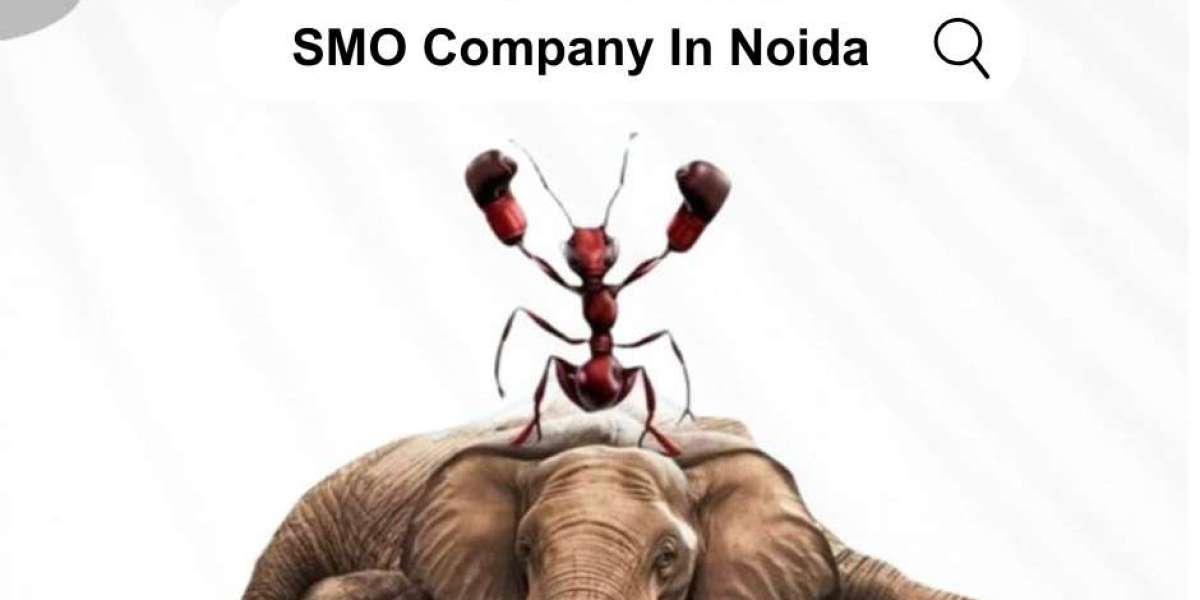 The Power of Words: Why You Need a Top-Tier Content Writing Company In Noida