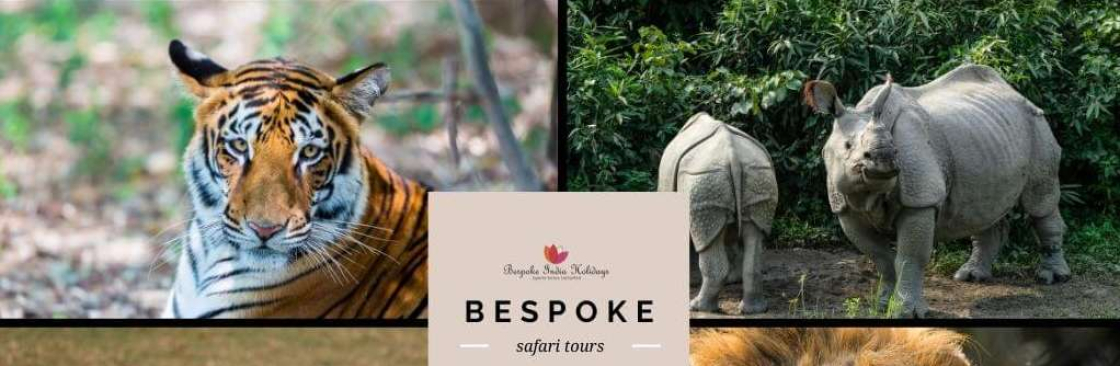 Bespoke India Holidays Cover Image