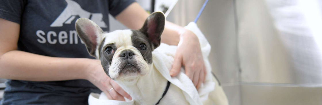 Scent Hound Apex Cover Image