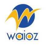 waioz consultancy services Profile Picture