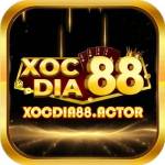 Xocdia88 – Cổng Game Xóc Đĩa & Đổi Thưởng Uy Tín Hàng Đầu Profile Picture