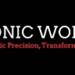 Sonic World Profile Picture