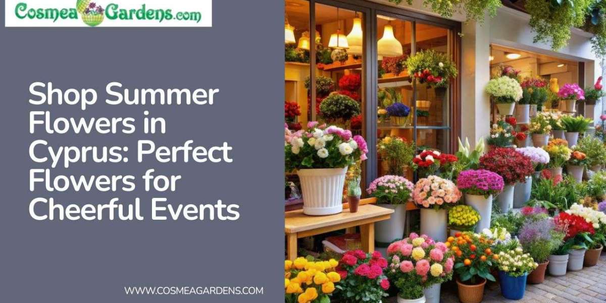 Shop Summer Flowers in Cyprus: Perfect Flowers for Cheerful Events