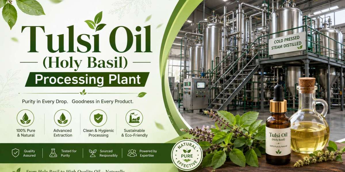 Tulsi Oil (Holy Basil) Processing Plant: Setup, Machinery, Raw Materials and Cost Analysis
