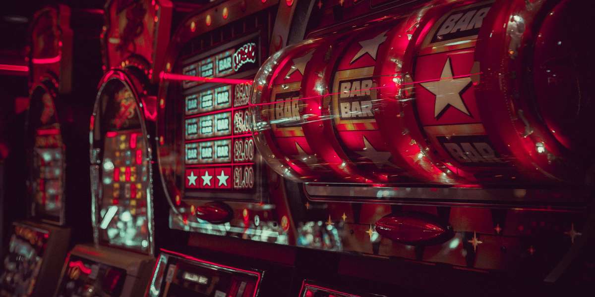 Explore Top Rated Slot Games and Live Casino Action