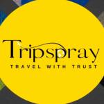 Trip Spray Profile Picture