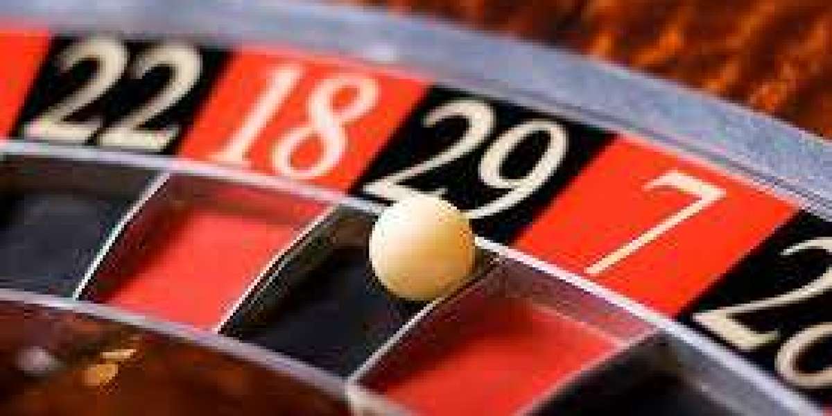 Playinexch login User Experience: Features That Improve Online Betting Convenience