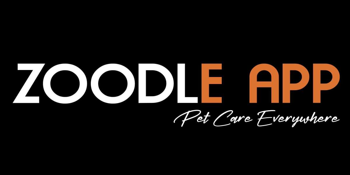 A Local Guide to Pet Daycare Near Me for Busy Pet Parents